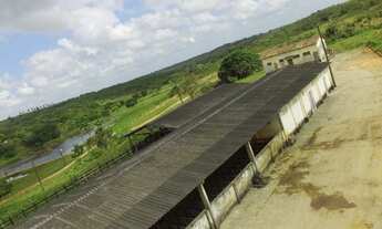 Imagem 3: FAZENDA Fazenda / sítio com venda por R$3.250.000