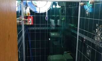 Imagem 6: Sobrado para venda possui 160 metros quadrados com 3 quartos em Vila Prel - São Paulo - Sã