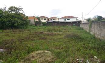 Imagem 7: BORDA DA MATA - Terreno Padrão - Nossa Senhora Aparecida