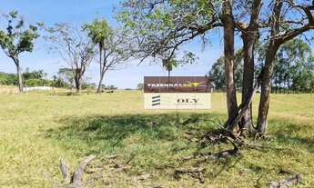 Imagem 5: Fazenda de Oportunidade ! São 25 Alqueires ! Região de Heitoraí !