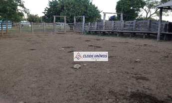 Imagem 6: Fazenda à venda com divisões de 15 pastos, 6660 hec por R$ 32.634.000 - Rural - Poconé/MT