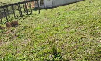 Imagem 6: 08. Lote/Terreno para venda possui 600 metros quadrados em Jacareí - Igaratá - São Paulo