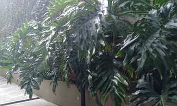 Imagem 7: Apartamento para aluguel possui 65 metros quadrados com 3 quartos