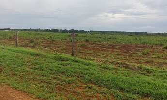 Imagem 7: Fazenda para Venda em Marianópolis do Tocantins, Marianopolis