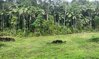 Imagem 4: Pomerode - Sítio - Testo Central