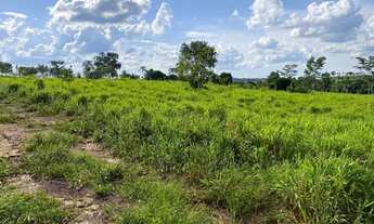 Imagem 5: Vendo chácara 3 alqueires lugar ótimo com casas rios etc