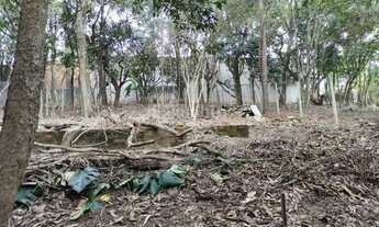 Imagem: FAZENDINHA - PARTE ALTA