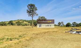 Imagem 2: Fazenda de Oportunidade ! São 25 Alqueires ! Região de Heitoraí !