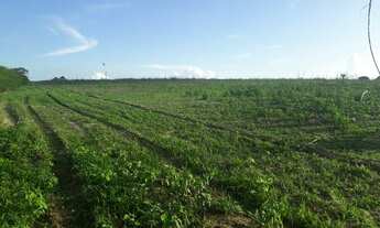 Imagem: Linda Fazenda com 25 hectares na região