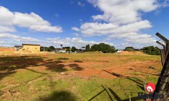 Imagem 5: Terreno no BUTIATUVINHA de 7540,00 m2 - 00045.200-RAZAO