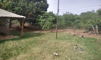 Imagem 5: Fazendinha oportunidade