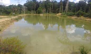 Imagem 2: Vendo um sitio Chácara com venda por R$70.000