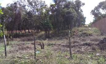 Imagem 3: Ótimo terreno para chácara, 100,00 x 50,00 de esquina na Cerâmica Cil -Teresina - PI