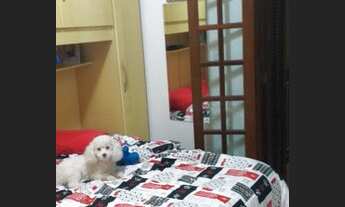 Imagem 7: CASA RESIDENCIAL em SÃO PAULO - SP, Patriarca