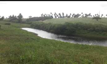 Imagem 3: Ótima Fazenda com 20 hectares na região de Macaíba de porteira fechada