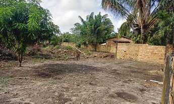 Imagem 7: Casa no cotijuba