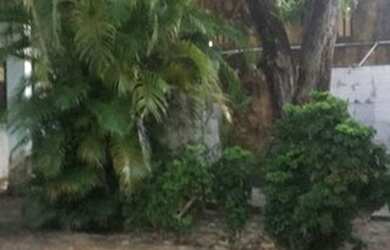 Imagem 2: Casa para venda com 200 metros quadrados com 4 quartos em Jardim Renascença - São Luís - M