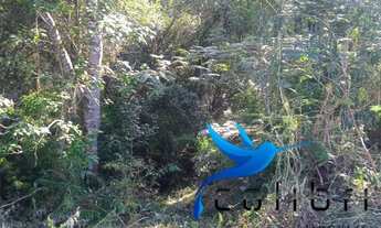 Imagem 5: Terreno para moradia ou mini chácara medindo 1.651,74m²