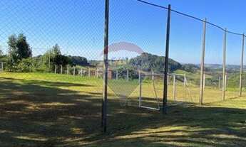 Imagem 7: Chácara com 4 dormitórios à venda, 36300 m² por R$ 950.000 - Colônia Muquilão - Roncador/P