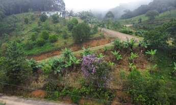 Imagem 3: Sítio no Centro em Angelina - SC