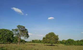 Imagem 7: Vendo fazenda em Fátima de 50 alq