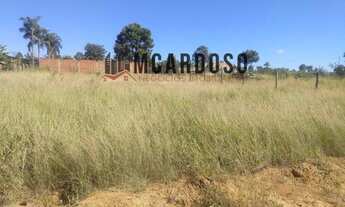 Imagem: Lote na rua 6, chacara 126, R$ 60mil, 26