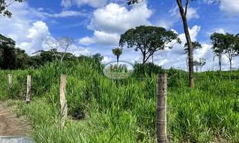 Imagem 5: Fazenda ótima para pecuária