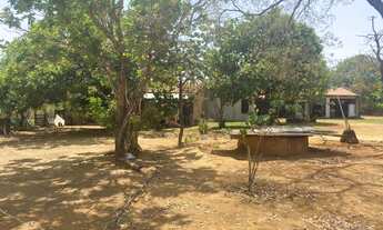 Imagem 5: Palmas - Chácara - Área Rural de Palmas