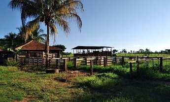 Imagem 2: Fazenda Minas Gerais - Iturama- Coisa linda demais veja o video 44 alqueirao