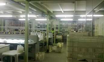 Imagem 3: Galpão para aluguel possui 850 metros quadrados em Pituaçu - Salvador - BA