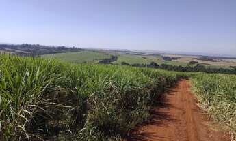 Imagem 3: Fazenda em Mococa-SP - 100 alqueires - Cana e Pasto