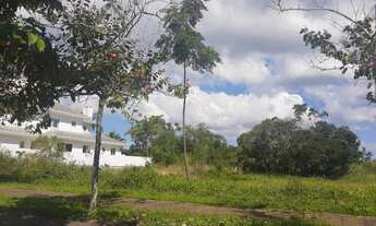 Imagem 7: Terreno Jurerê Internacional