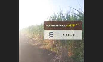 Imagem 5: OPORTUNIDADE ! Fazenda Extra - Município de Itapuranga - 30 Alqueires !