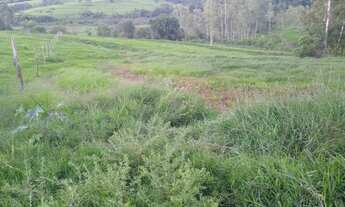 Imagem: Chácara com 12.500 em Umuarama