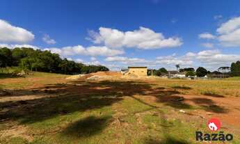 Imagem 7: Terreno no BUTIATUVINHA de 7540,00 m2 - 00045.200-RAZAO