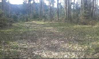 Imagem 2: Terreno em Rio dos Cedros barragem pinhal