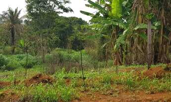 Imagem 2: Urgente Vendo CHÁCARA 65 MIL