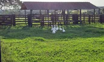Imagem 3: Fazenda em Heitorai - GO