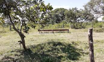 Imagem 4: Fazenda/Sítio/Chácara para venda com 4700000 metros quadrados com 3 quartos