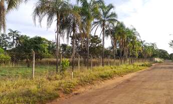 Imagem 4: Chácaras Panorama, Chácara de Esquina com 5000m², próximo da Avenida Aldo Borges Leão