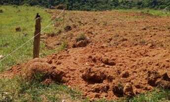 Imagem: Terrenos parcelados consulte as formas de