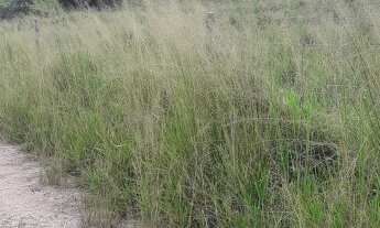 Imagem 2: Fazenda com 200 alqueires no vale do paraiba- 250 km da capital