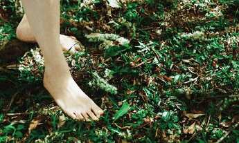 Imagem 6: Terreno para Venda - 0m², 0 dormitórios, Gramado