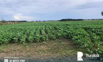 Imagem 5: Fazenda em exploração agrícola na região do Vale do Araguaia TO