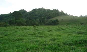 Imagem 5: 30 mil metros quadrados em São João - Caconde - São Paulo