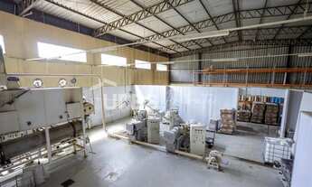 Imagem 4: 0 - Galpão - Distrito Agroindustrial de Aparecida de Goiânia