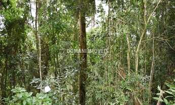 Imagem 5: Terreno à Venda com Preço Baixo na Região do Vale Encantado - Campos do Jordão/SP