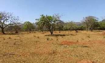 Imagem 6: Financio, Excelente Chácara 1.000m² Planas, Igarapé, Conquiste Agora o Seu Sonho