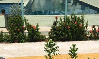 Imagem 2: Apartamento para aluguel térreo gardem 2/4 Solar das Flores Lauro de Freitas BA