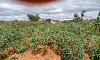 Imagem 2: Terreno Chácara com aluguel com preço sob consulta